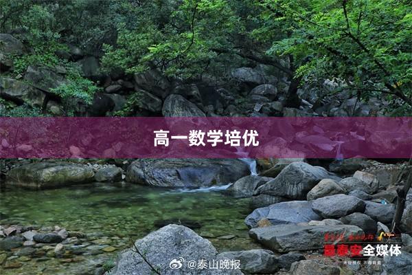 高一数学培优