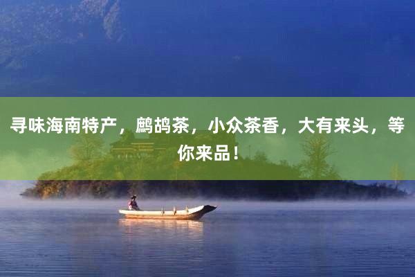 寻味海南特产，鹧鸪茶，小众茶香，大有来头，等你来品！