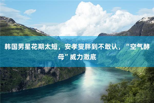 韩国男星花期太短，安孝燮胖到不敢认，“空气酵母”威力澈底