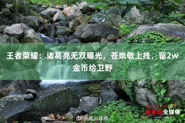 王者荣耀：诸葛亮无双曝光，苍崇敬上线，留2w金币给卫野