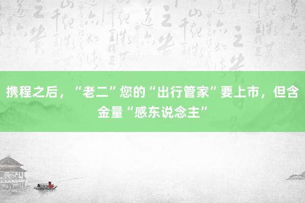 携程之后,“老二”您的“出行管家”要上市,但含金量“感东说念主”