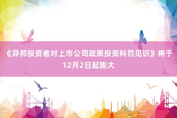《异邦投资者对上市公司政策投资科罚见识》将于12月2日起膨大