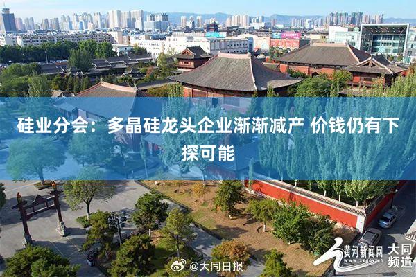 硅业分会：多晶硅龙头企业渐渐减产 价钱仍有下探可能