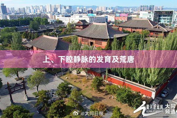 上、下腔静脉的发育及荒唐