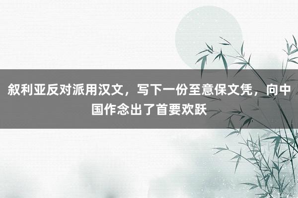叙利亚反对派用汉文，写下一份至意保文凭，向中国作念出了首要欢跃