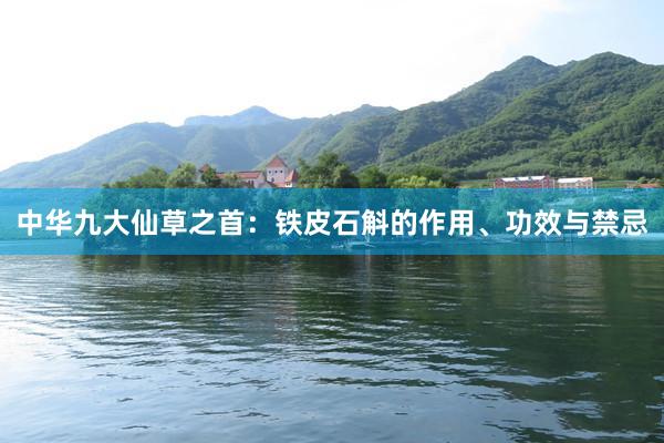 中华九大仙草之首：铁皮石斛的作用、功效与禁忌