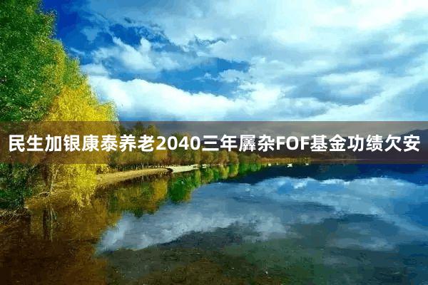 民生加银康泰养老2040三年羼杂FOF基金功绩欠安