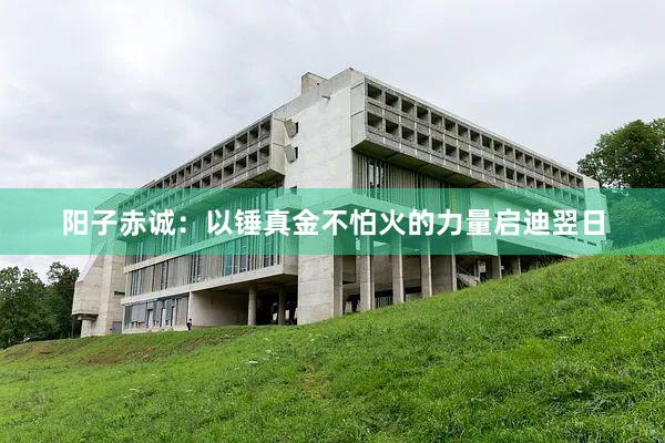 阳子赤诚：以锤真金不怕火的力量启迪翌日