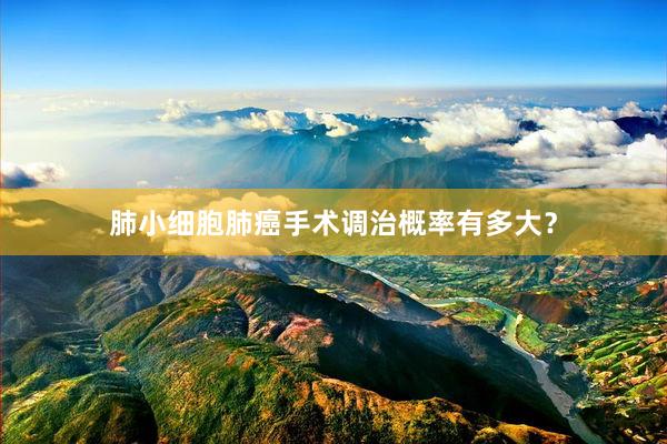 肺小细胞肺癌手术调治概率有多大？